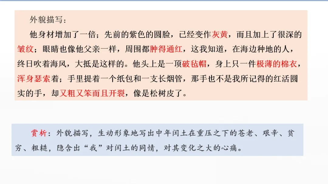 中考记叙文阅读理解复习(5)——句子赏析 第24张