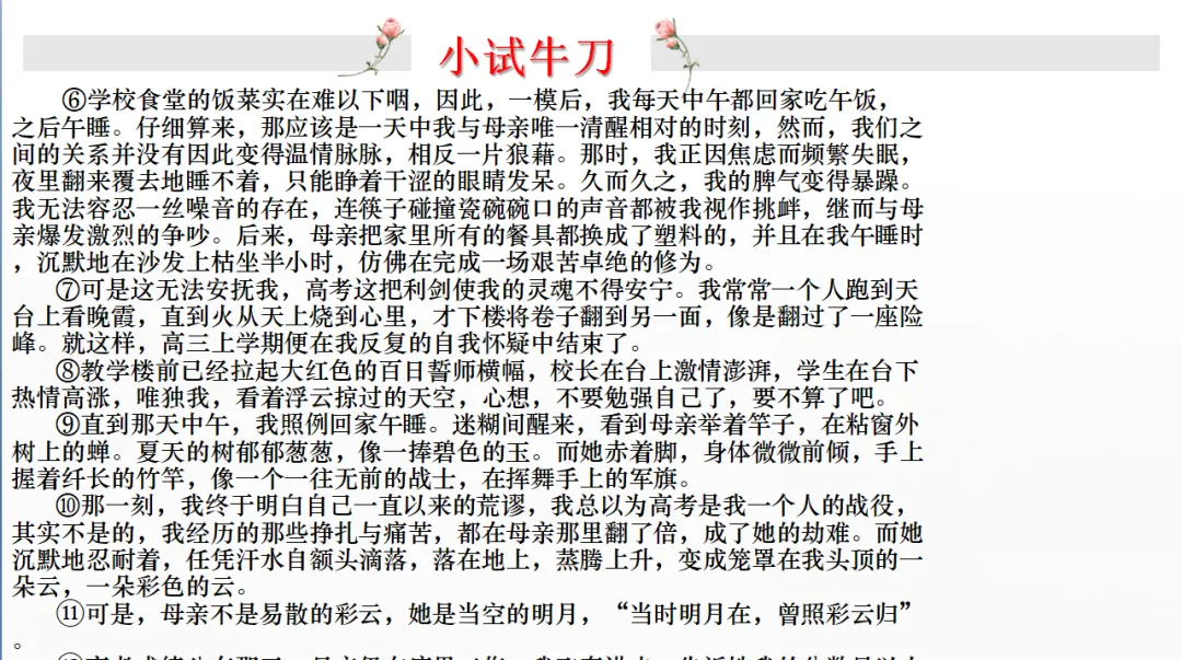 中考记叙文阅读理解复习(5)——句子赏析 第32张