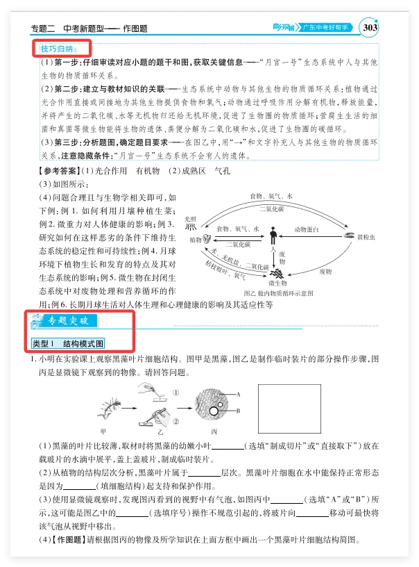 重磅!广东中考生物作图题高分密码! 第7张 重磅!广东中考生物作图题高分密码! 第7张