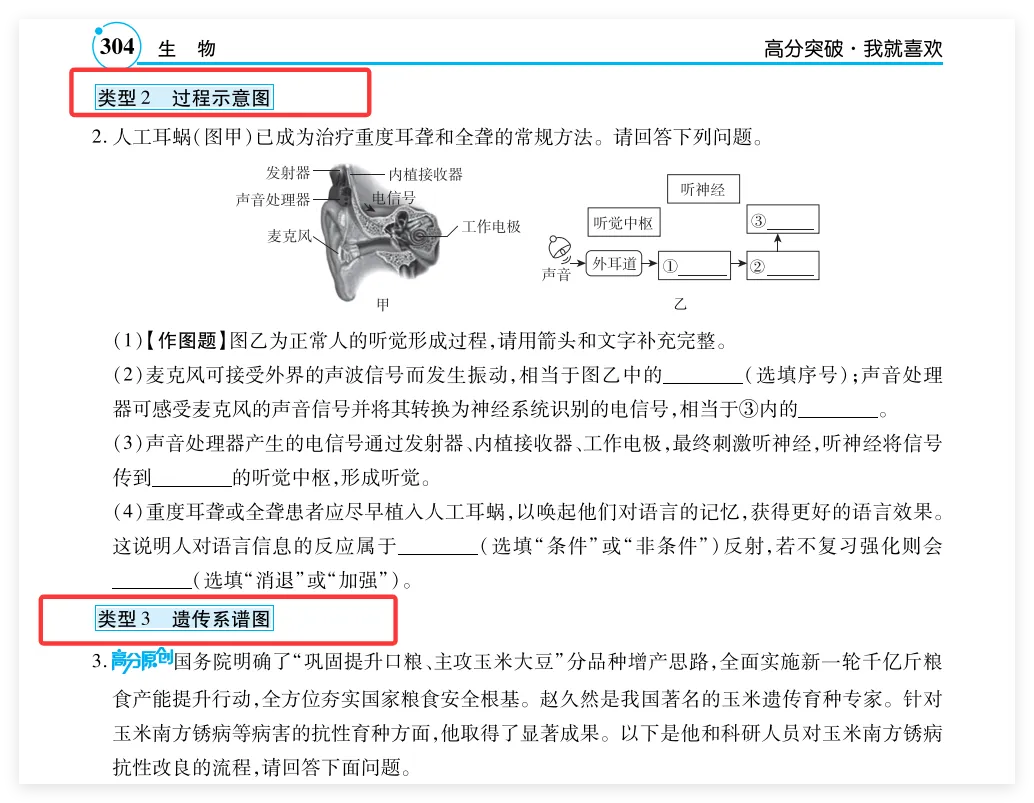重磅!广东中考生物作图题高分密码! 第8张 重磅!广东中考生物作图题高分密码! 第8张