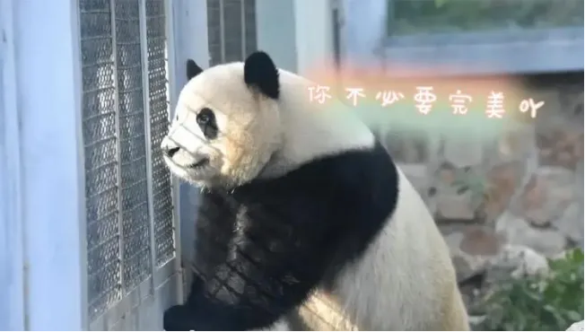 中考助力站 | 被同学卷到怎么办? 第32张