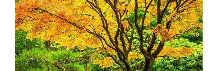 近五年中考化学方程式梳理(附word下载) 第1张 近五年中考化学方程式梳理(附word下载) 第1张