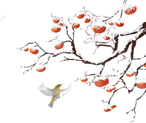 【最新版2026中考总复习】积累运用-基础篇:应用文写作 第4张