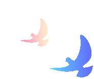 超长寒假|创冠护航|冲刺中考体育满分|限时抢购|6大豪礼仅需199元|错过再等10年|别因为体考而与平中失之交臂|校内更多选项等您来 第10张