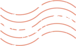 2026年中考道法一轮复习丨专题09 遵守社会规则:探险的边界——从鳌太线徒步看社会规则 第24张