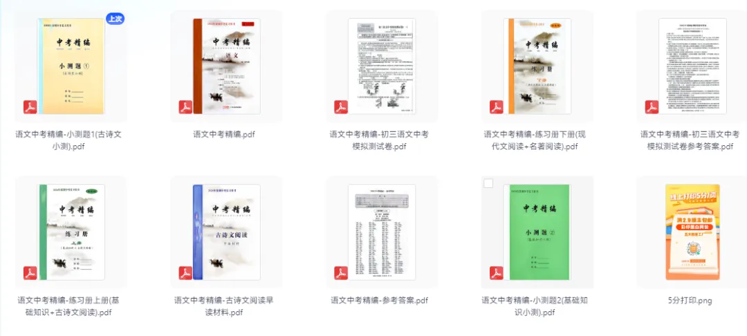 【初中】2026版语文《中考精编》第11版全套(深圳中考复习用书) 第3张