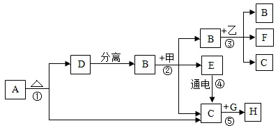 【中考化学】每日一练1.16 第3张