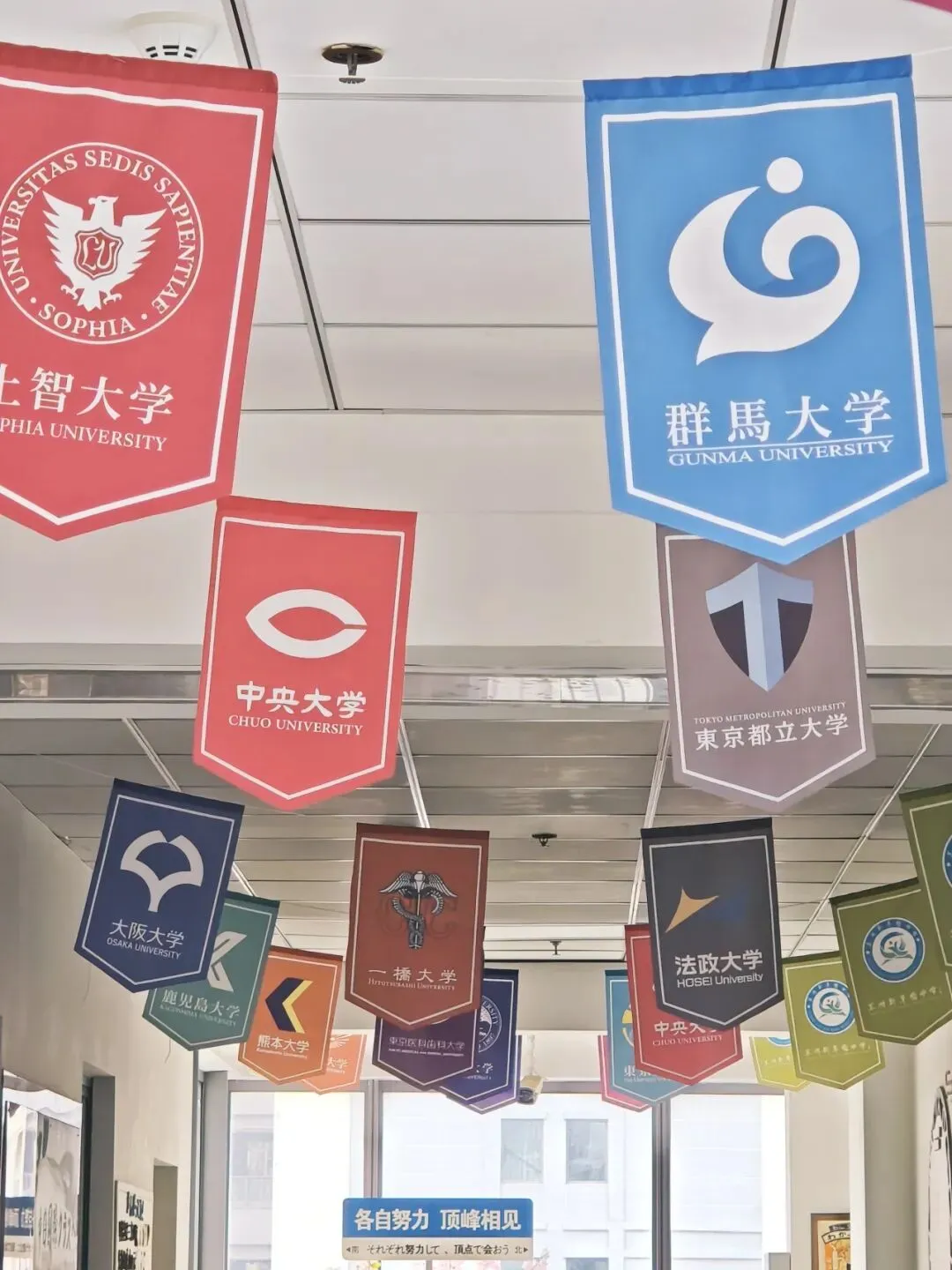 我的选择:离开中考赛道,为自己赢一次 第4张