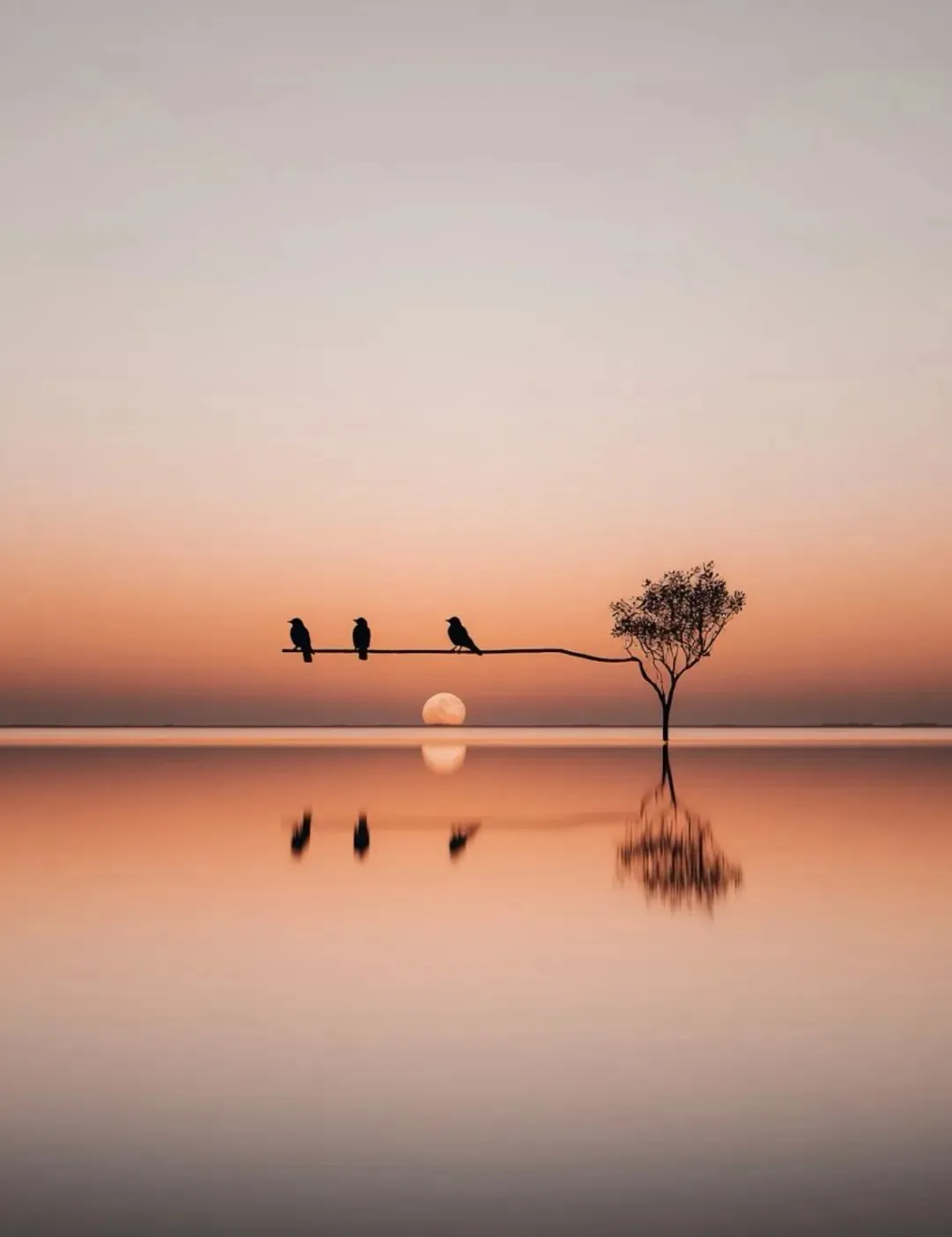 中考作文常用五种句型(每一个都是加分项) 第1张