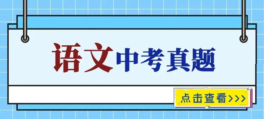 2025年中考真题单科汇总! 第17张