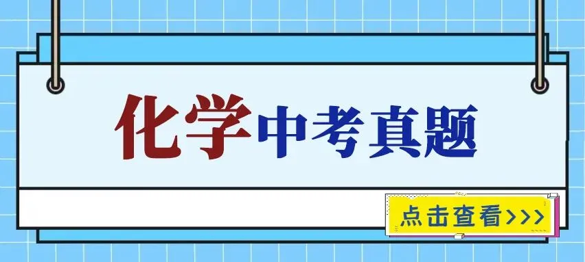 2025年中考真题单科汇总! 第33张