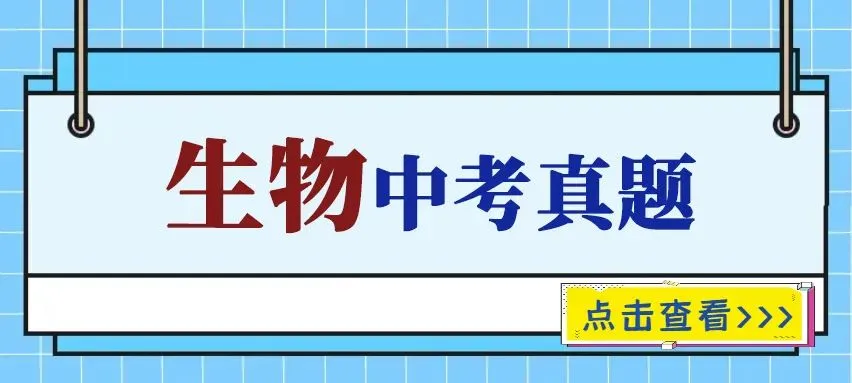2025年中考真题单科汇总! 第64张