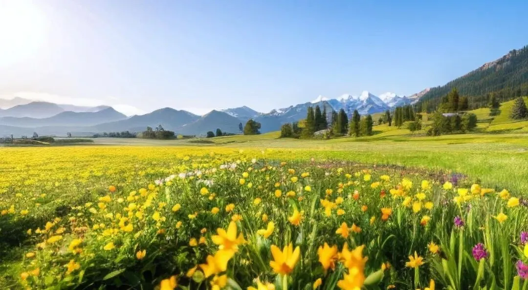 2025年辽宁省沈阳市沈河区中考数学一模试卷 第10张