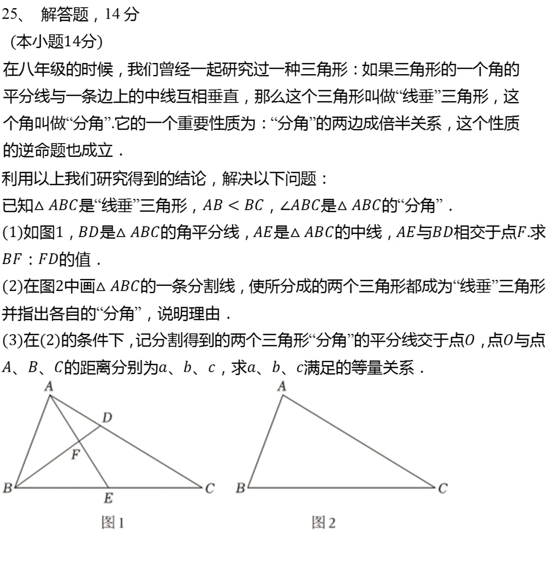 2025年上海市普陀区中考数学一模试卷 第6张