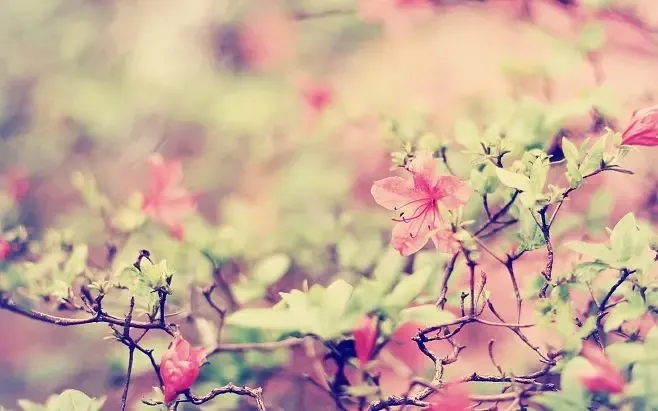 【可打印·中考必背】七八九年级语文必背古诗文及译文(上下册,共六册,可下载) 第3张