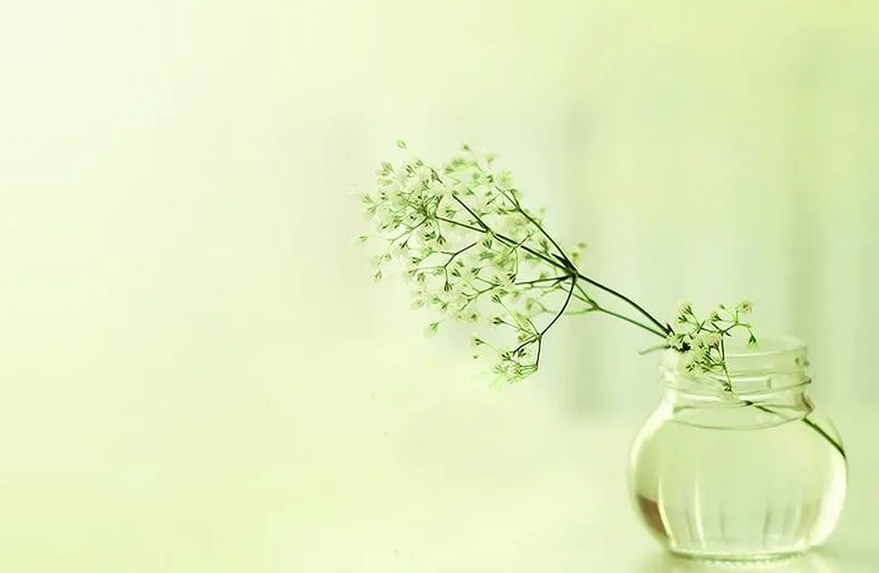 【可打印·中考必背】七八九年级语文必背古诗文及译文(上下册,共六册,可下载) 第5张