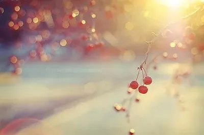 【可打印·中考必背】七八九年级语文必背古诗文及译文(上下册,共六册,可下载) 第7张