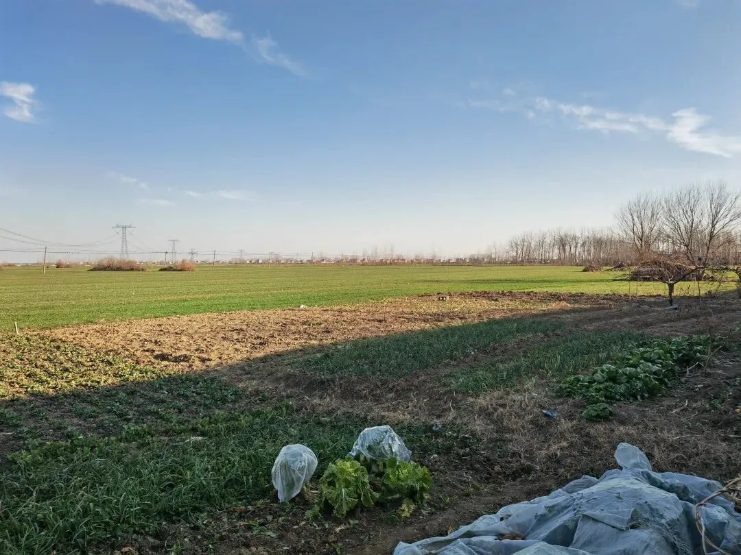 2020年安徽省中考作文《精神的三间小屋》升格训练 第3张