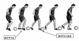 寒假来啦 | 哈尔滨2026中考体育80分,这个寒假决定一半! 第21张