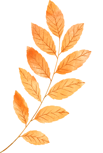 家校共育筑梦行,师生同心迎中考 | 我校召开初三年级家长会 第10张