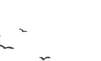 第四期:墨色笔尖,点亮中考语文之路 第6张