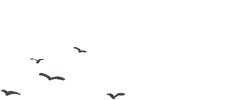 第四期:墨色笔尖,点亮中考语文之路 第21张