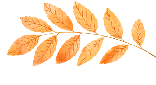 家校共育筑梦行,师生同心迎中考 | 我校召开初三年级家长会 第29张