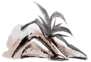 第四期:墨色笔尖,点亮中考语文之路 第43张