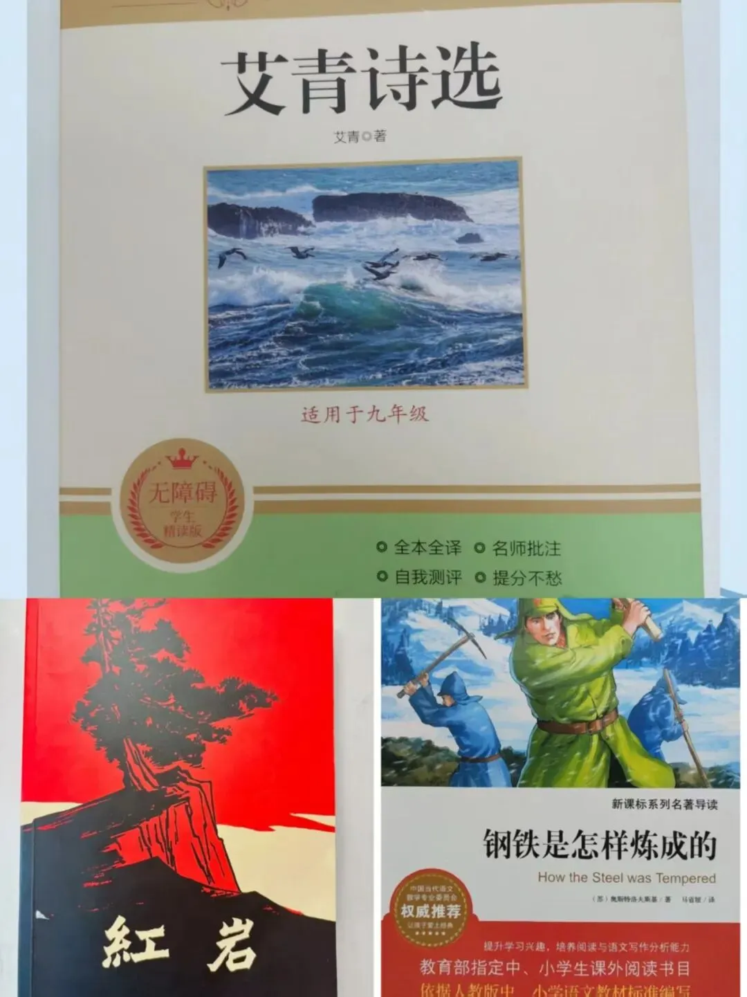 2025年河南中考语文古诗词赏析及整本书阅读试题分析 第5张