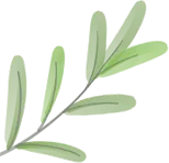 关注中考|陕西省初中学业水平体育与健康统一考试项目自主练习方法指引系列2 第8张