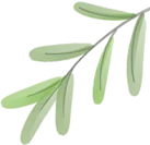 关注中考|陕西省初中学业水平体育与健康统一考试项目自主练习方法指引系列2 第13张