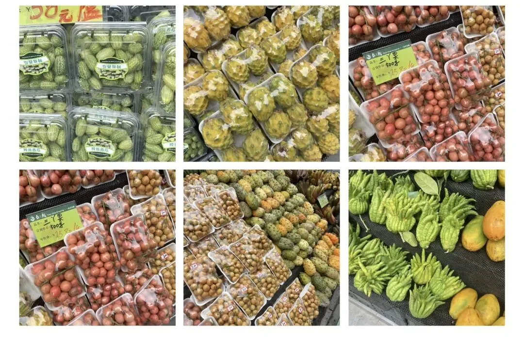 带仔三赴西双版纳,七岁初见,中考后再赴雨林之约 第3张