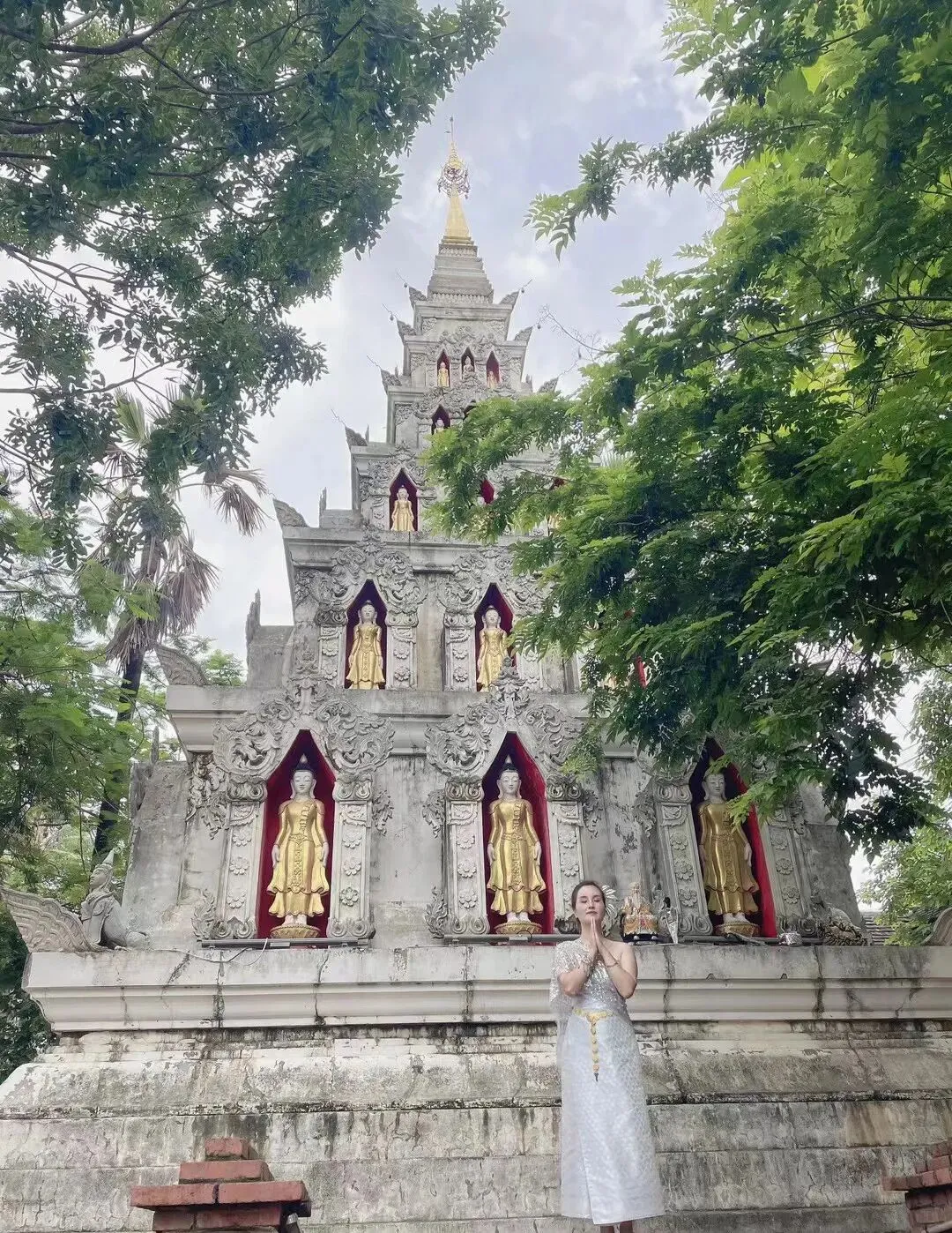 带仔三赴西双版纳,七岁初见,中考后再赴雨林之约 第5张