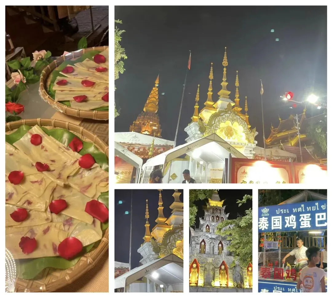 带仔三赴西双版纳,七岁初见,中考后再赴雨林之约 第8张