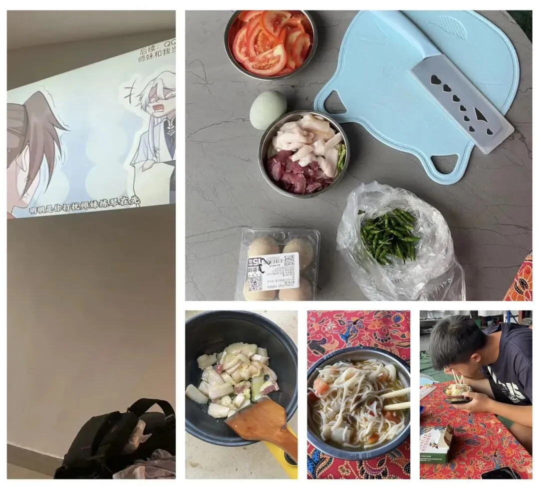 带仔三赴西双版纳,七岁初见,中考后再赴雨林之约 第9张