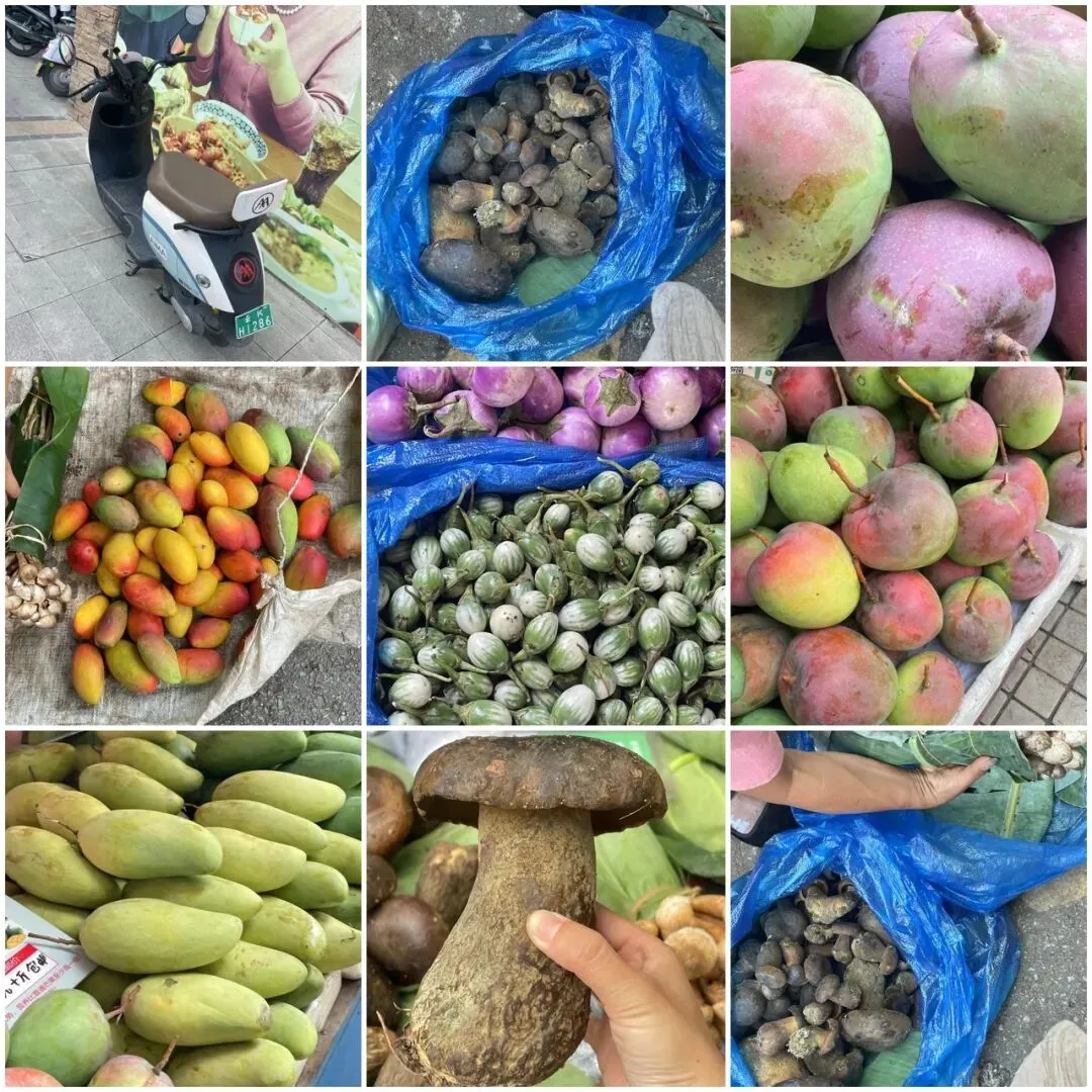 带仔三赴西双版纳,七岁初见,中考后再赴雨林之约 第10张