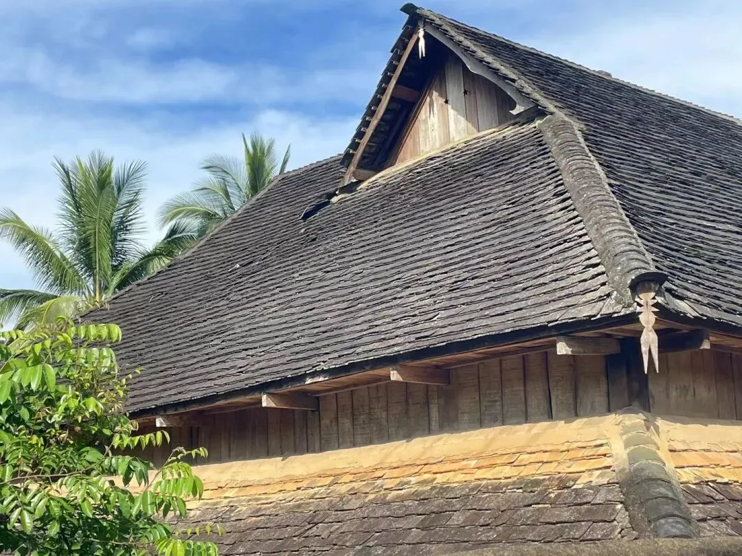 带仔三赴西双版纳,七岁初见,中考后再赴雨林之约 第11张