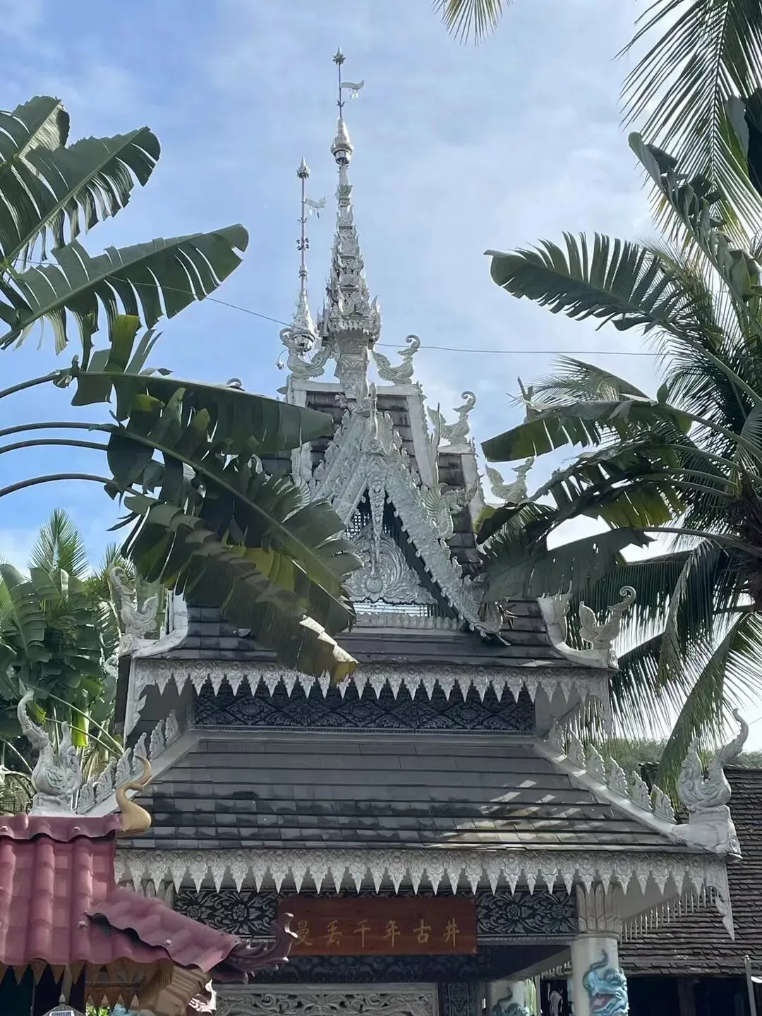 带仔三赴西双版纳,七岁初见,中考后再赴雨林之约 第15张