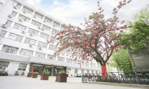 2026届优实力中考全日制招生简章 第4张