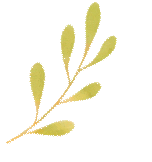 2025/2026《万唯中考》全科电子资源合集下载 含预习课/真题预测/大小卷/尖子生每日一题/押题/晨读晚记+多版本多地区 第5张