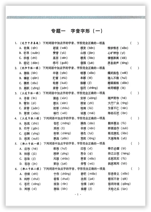 【2026】《初中语文•新中考精准分类觉醒卷》中考(人教版),超全知识点梳理、例题解析! 第5张