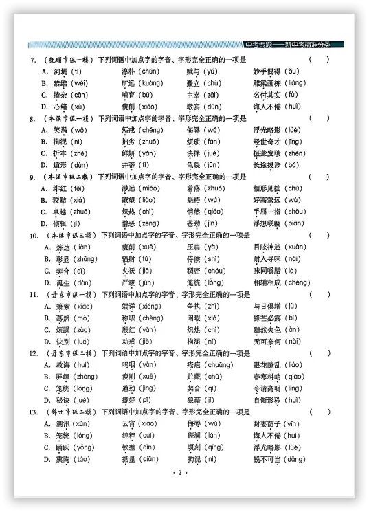 【2026】《初中语文•新中考精准分类觉醒卷》中考(人教版),超全知识点梳理、例题解析! 第6张