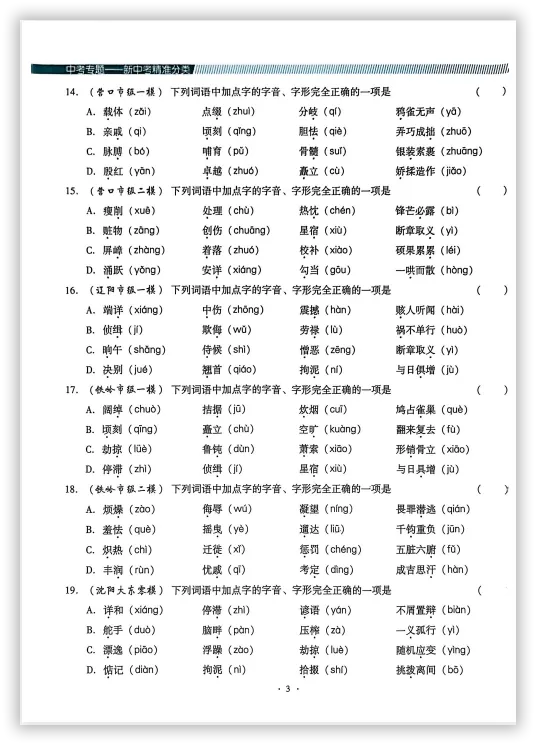 【2026】《初中语文•新中考精准分类觉醒卷》中考(人教版),超全知识点梳理、例题解析! 第7张