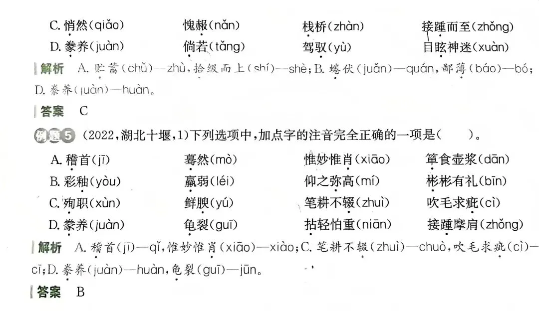 中考语文复习专题:字音字形及真题训练(可打印) 第3张