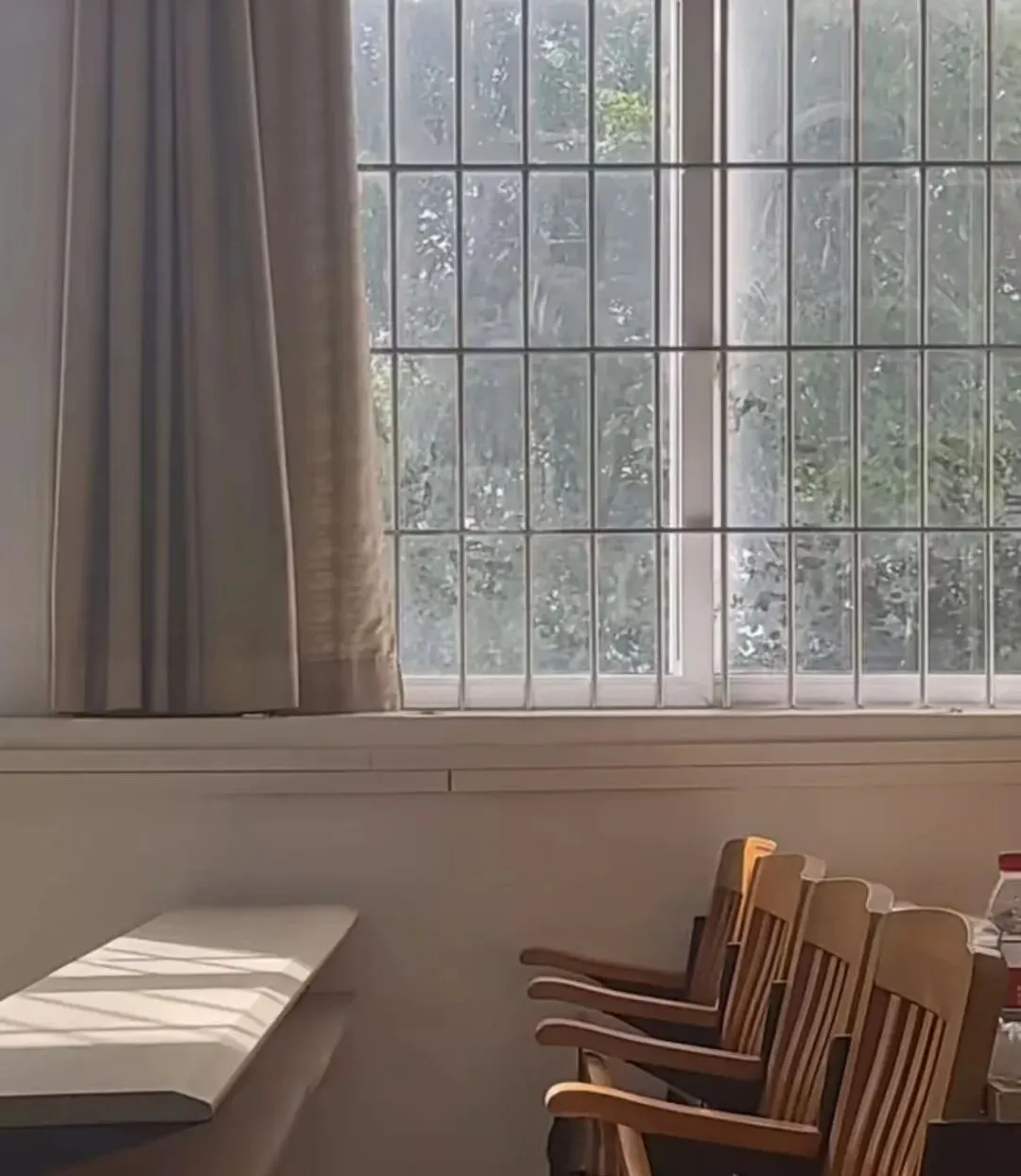 广州中考|许多人不知道的王炸专业:赛马!学费全免,毕业直接到香港赛马会工作 第4张