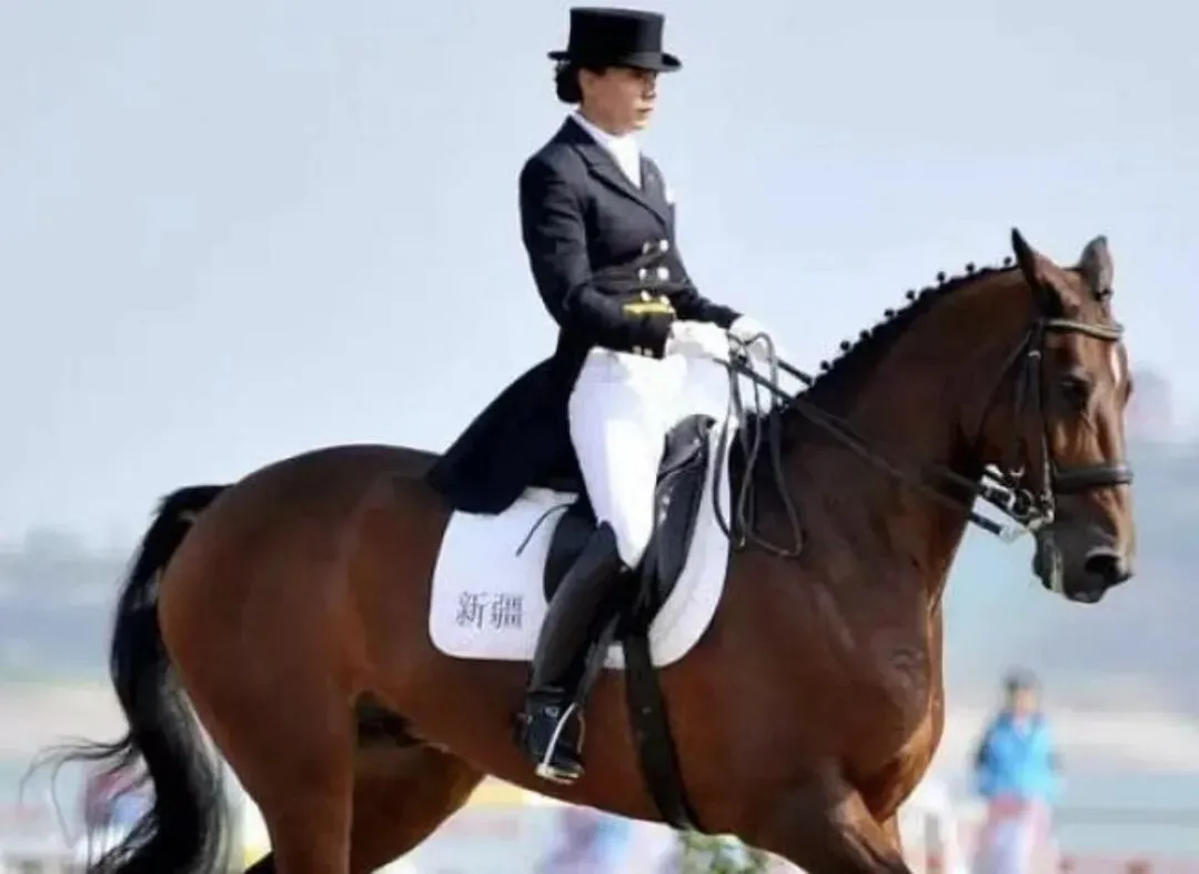 广州中考|许多人不知道的王炸专业:赛马!学费全免,毕业直接到香港赛马会工作 第10张