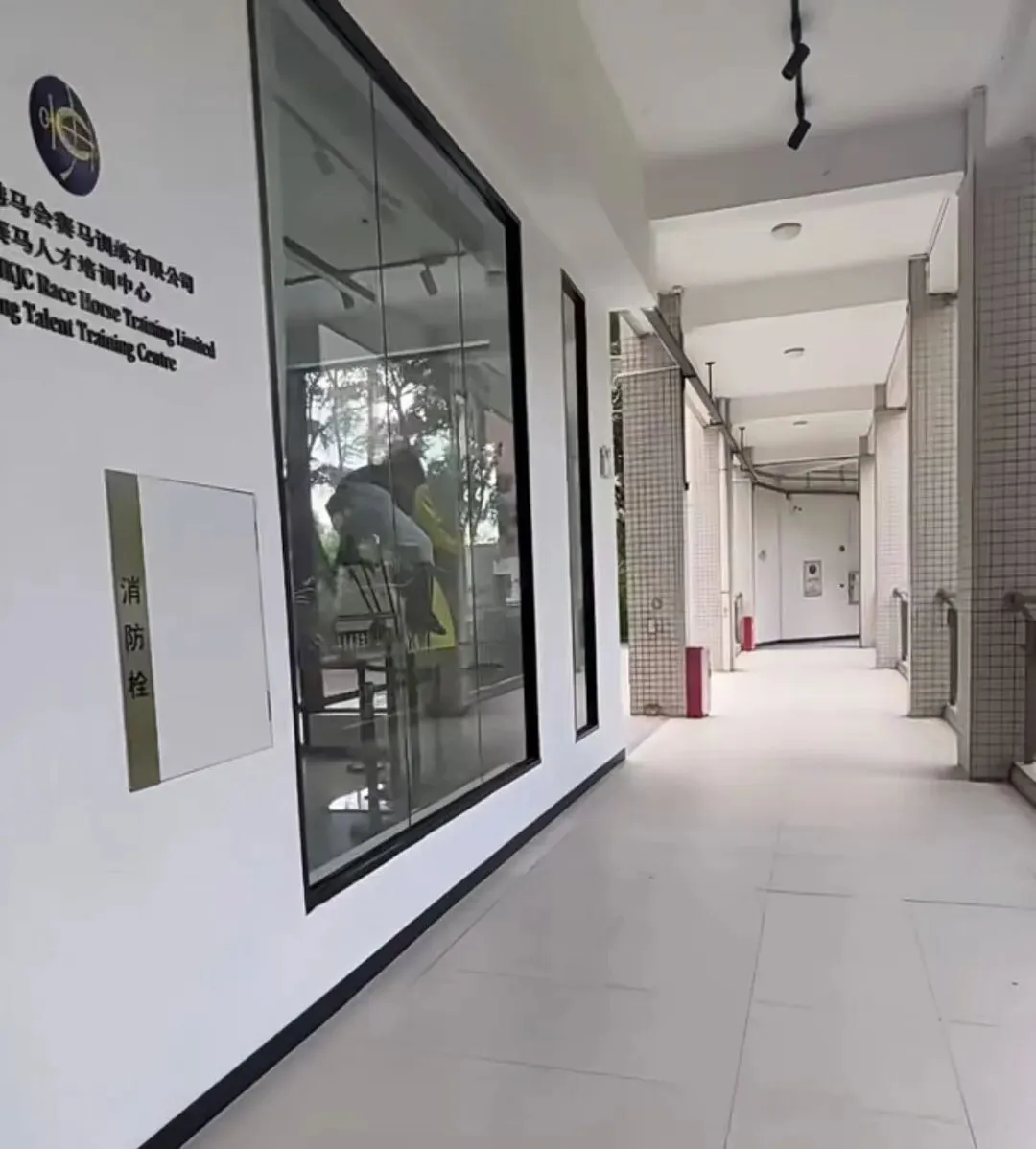 广州中考|许多人不知道的王炸专业:赛马!学费全免,毕业直接到香港赛马会工作 第14张