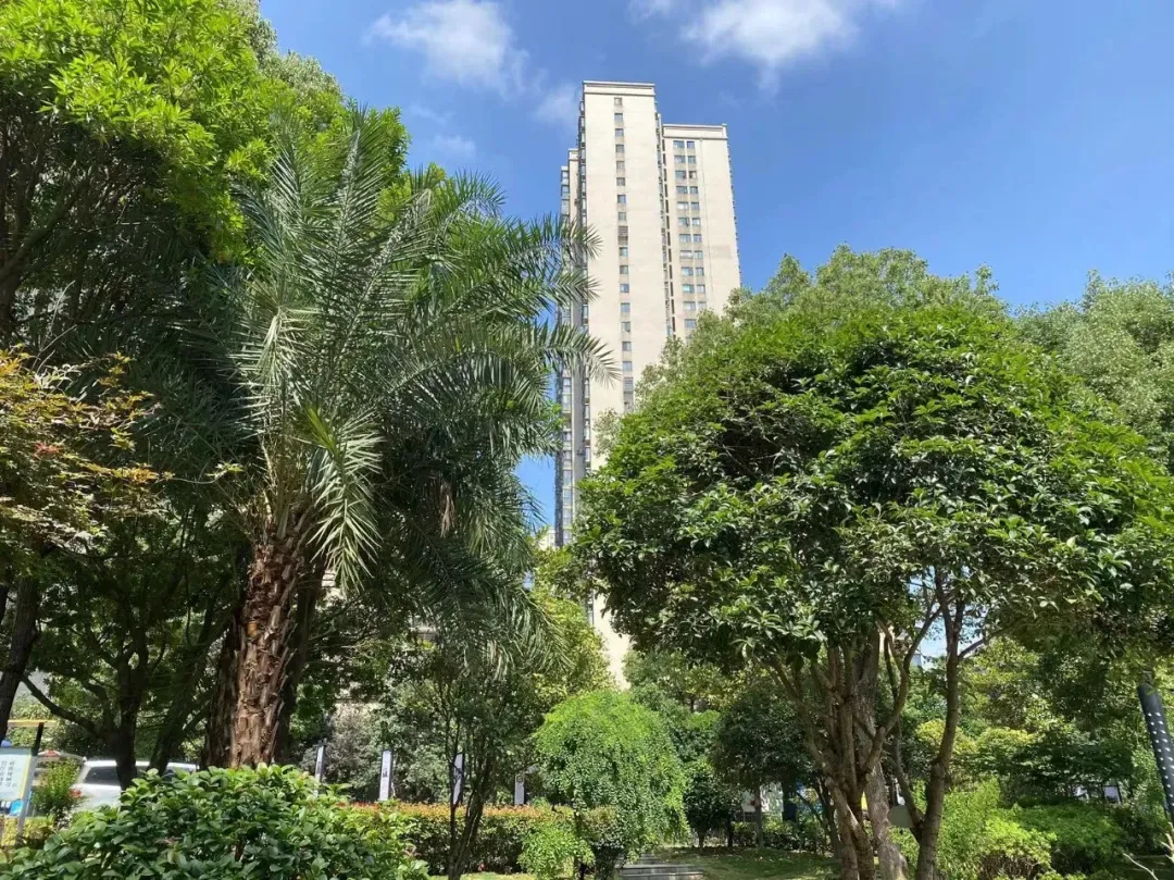 在长沙,吃了“中考红利”的十大书包盘! 第3张