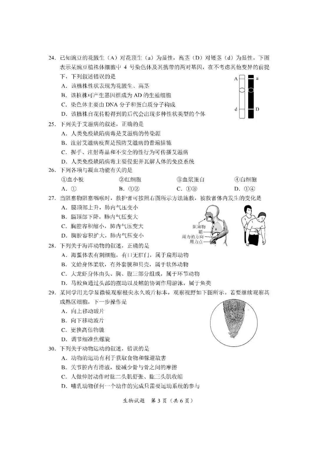 2020-2024年海南中考生物真题(含答案) 第8张