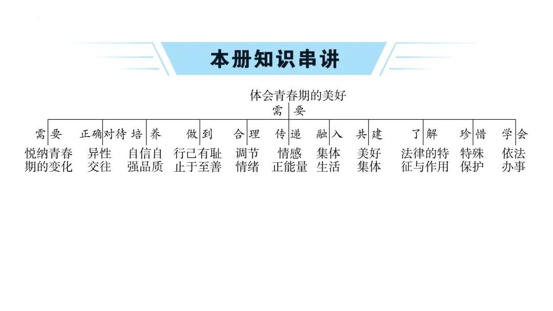 2026年中考道德与法治一轮复习课件:七年级下册 第3张